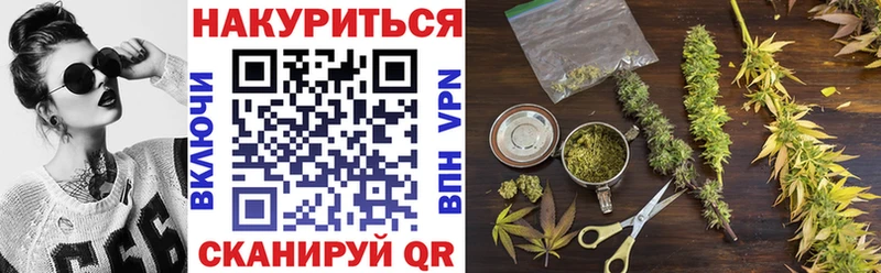 Каннабис сатива  Светогорск 